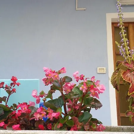 Eureka Azienda Agrituristica 팜스테이 카발리노