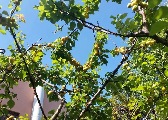 Eureka Azienda Agrituristica * Cavallino-Treporti