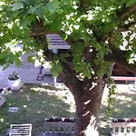 Alloggio per agriturismo Eureka Azienda Agrituristica